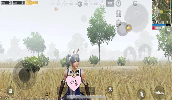 pubg木乃伊套装稀有吗（在pubg中，木乃伊套装的稀有度如何影响玩家的游戏体验？）